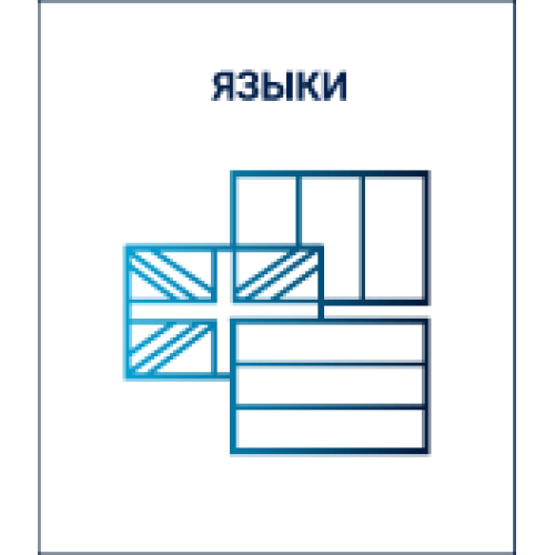 Модуль установки  дополнительных языков  для PROMT Professional  Neural (Комплектация: одна языковая модель на выбор, ВОХ)*