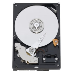 Western Digital Blue HDD 3.5
