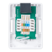 Cabeus WS-8P8C-Cat.6-1 Розетка компьютерная RJ-45(8P8C), категория 6, одинарная, внешняя, Dual IDC