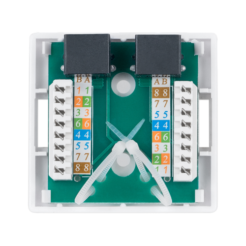 Cabeus WS-8P8C-Cat.6-2 Розетка компьютерная RJ-45(8P8C), категория 6, двойная, внешняя, Dual IDC