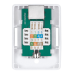 Cabeus WS-8P8C-Cat.6-SH-1 Розетка компьютерная RJ-45(8P8C), категория 6, экранированная, одинарная, внешняя, Dual IDC