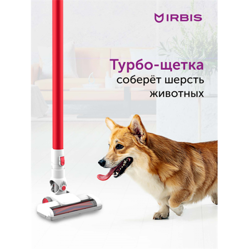 Vacuum cleaner IRBIS Hurricane IVH0122, 14.8V, 2000 mAh, 100W