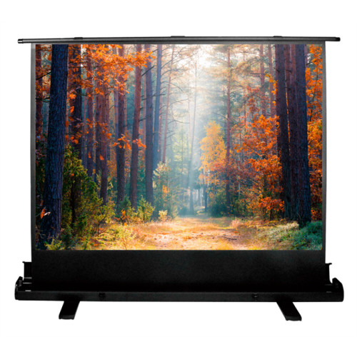 Cactus 135x180см FloorExpert CS-PSFLE-180X135 4:3 напольный рулонный