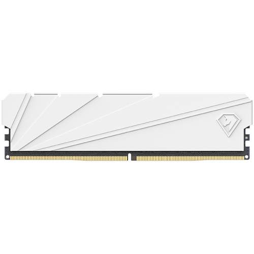 Netac Shadow S 16GB DDR4-2666 (PC4-21300) C19 19-19-19-43 1.2V Memory module (DIMM) White
