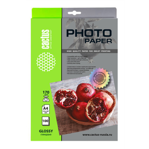 Cactus CS-GA4170100 A4/170г/м2/100л./белый глянцевое для струйной печати