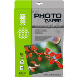 Cactus CS-GA420020 A4/200г/м2/20л./белый глянцевое для струйной печати