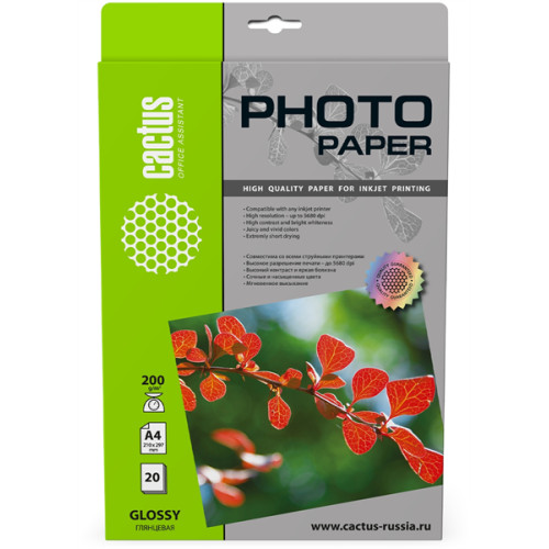 Cactus CS-GA420020 A4/200г/м2/20л./белый глянцевое для струйной печати