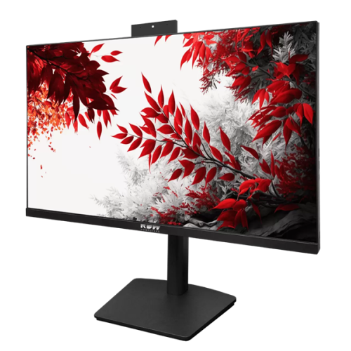 RDW2402K веб-камера 1920x1080(FHD) IPS 100Hz 4мс 178°/178 300cd 1000:1 VGA HDMI DP 1*Type-C 1*USB-HUB 2*USB-A Рег. по высоте, Портретный режим,Поворот вокруг своей оси,Наклон,Внутр БП,Динамики, МПТ