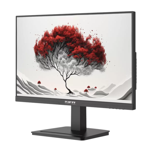 RDW2401K 1920x1080(FHD) IPS 100Hz 4мс 178°/178 250cd-300cd VGA HDMI DP наклон, Внешний  БП, Динамики, черный, VESA 100*100, реестр МПТ