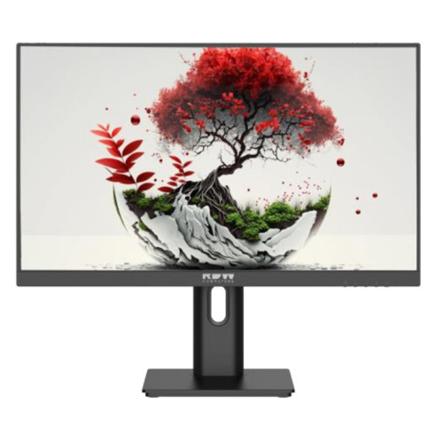 RDW2401K 1920x1080(FHD) IPS 100Hz 5мс 178°/178 250cd 1000:1 VGA HDMI DP 1*USB-B, 4*USB-A Рег. по высоте, Портретный режим, Поворот вокруг своей оси Наклон, внешний БП, Динамики, VVESA 100*100, МПТ