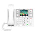 Fanvil Care Series IP Phone3.5