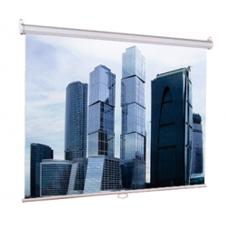 Экран настенный Eco Picture  (180х180), рабочая область (180х180), Matte White