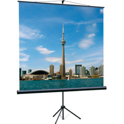 Экран на штативе Lumien Eco View 127x127см (раб.область 121х121 см) MW с возможностью настенного крепления 1:1