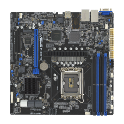 ASUS P13R-M, LGA 1700, Intel C262, 4xDDR5 ECC, 8xSATA, 1xM.2, 1xPCI-E 5.0 x16, 2x1Gb LAN, 3xUSB-A 3.2 Gen 2, 1xVGA, mATX