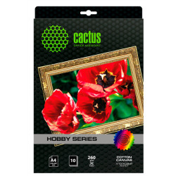 Cactus CS-CA426010 A4/260г/м2/10л. для струйной печати