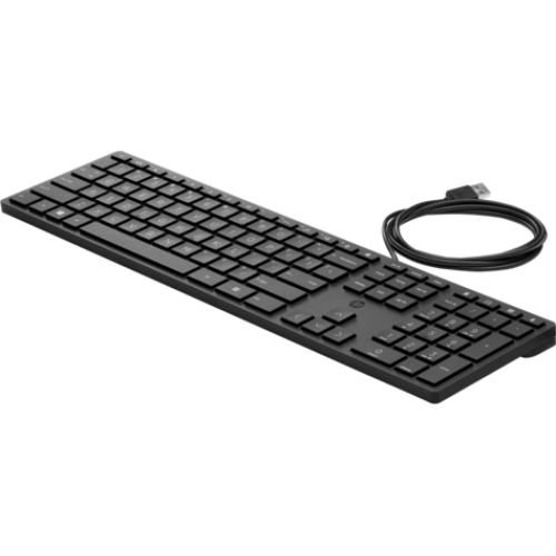 Keyboard HP Wired Desktop 320K black (Halley) - RUSS