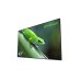 Профдисплей Geckotouch 43DH (с пультом Аэромышь G10s)