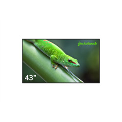 Профдисплей Geckotouch 43DH (с пультом Аэромышь G10s)