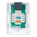 Cabeus WS-8P8C-Cat.6-1 Розетка компьютерная RJ-45(8P8C), категория 6, одинарная, внешняя, Dual IDC